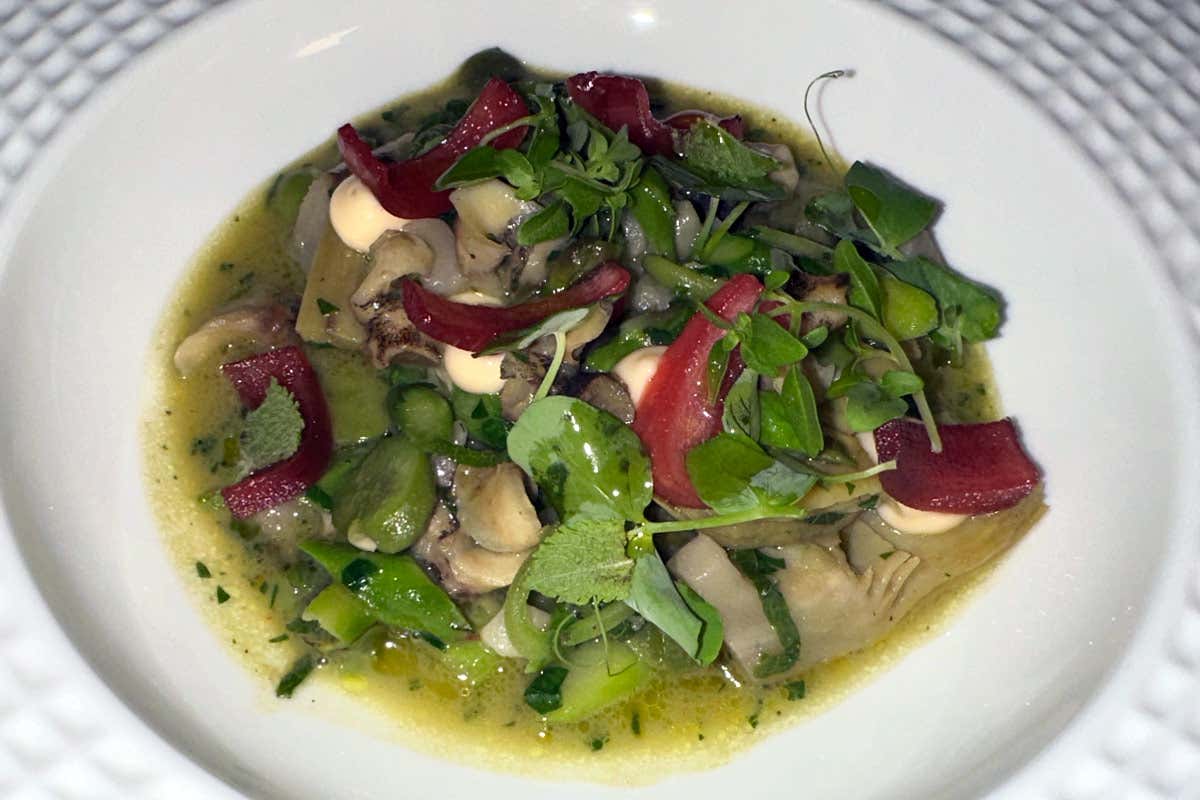Zest: il nuovo capitolo della cucina mediterranea a Sorrento